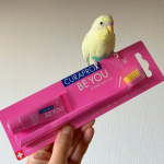 「クラプロックスビーユー」で、歯磨きするぞ！🐥🐥🪥😬.とってもカラフルで可愛いフルーツフレーバー歯みがきと歯ブラシCS5460のセットです。.色んなカラーバリエーションがありますが、私はピンク…のInstagram画像