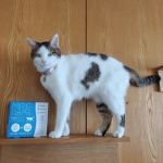 MRE Cat Proをモニターしましたのでご紹介します🎶⁡液体のサプリメントで内容量は5g×30包入⁡⁡⁡⁡⁡⁡使ってみました⬇⬇⬇⬇いつものフードにかけるだけでOKな液体タイプなので、手軽…のInstagram画像