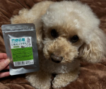 🐾🐶『いぬだペプチド』をお試しさせていただきました！💫関節ケア💫トリプル免疫ケア💫元気な毎日をサポート小さい頃からパテラもちで走ったり飛んだりする時、関節にかかる負担が、すごく気になっ…のInstagram画像