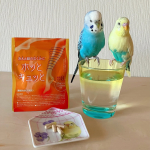 『ホッとキュッと』で、ママを冷えとむくみから守るぞ！🐥🐥😊.【機能性表示食品】『ホッとキュッと』は、1日1粒で「冷え」と「むくみ」両方の悩みを軽減してくれます。. 主成分であるピペリン類は、東南…のInstagram画像