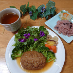 大阪ガスのおかず定期便『FitDish』がとても良くて気に入りました！！この定期便は、家族構成や好き嫌いなどを診断して、70種類から主菜、副菜を15種類届けてくれるんです。仕事で帰宅が遅くなった…のInstagram画像