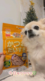 毎日手作りのワンごはんを食べてもらってます。かつおで出汁をとったり、具材にしたり、おやつにしたり。無くてはならない存在です♡#PR #マルトモ株式会社 #かつおだいすき #だいすきシリーズ #…のInstagram画像