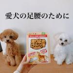 リンレイ様の🐾滑り止め床用コーティング剤（シートタイプ）🐾を試しました！ 追いかけっこやワンプロで元気いっぱいに遊ぶのは可愛いけれど、怪我のリスクが心配…。 マットを敷こうと思っても、かじって誤飲…のInstagram画像