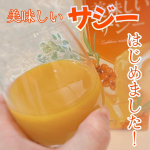 ✼••┈┈┈┈┈┈┈┈┈┈┈┈••✼すっきり美味しいサジー✼••┈┈┈┈┈┈┈┈┈┈┈┈••✼サジーピューレに柚子・オレンジ・ステビアを黄金比でブレンドした「美味しいサジージュース」が…のInstagram画像
