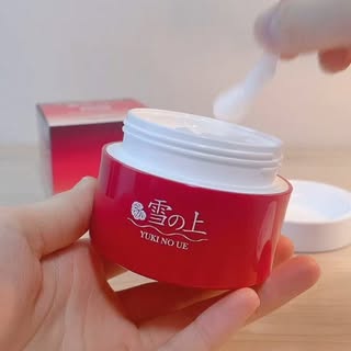 口コミ投稿：雪の上とろとろのテクスチャーが堪らない🤤❕#PR #株式会社ステップワールド #雪之上 #…
