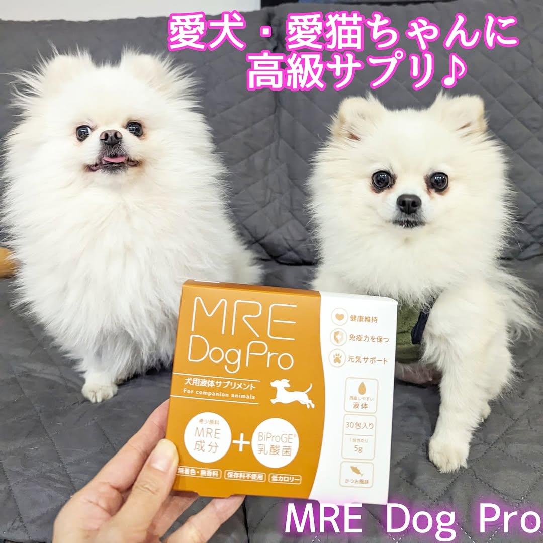 口コミ投稿：うちのコも大好きっ！大切な愛犬・愛猫ちゃん用のリッチな成分の液体サプリメント💕【…
