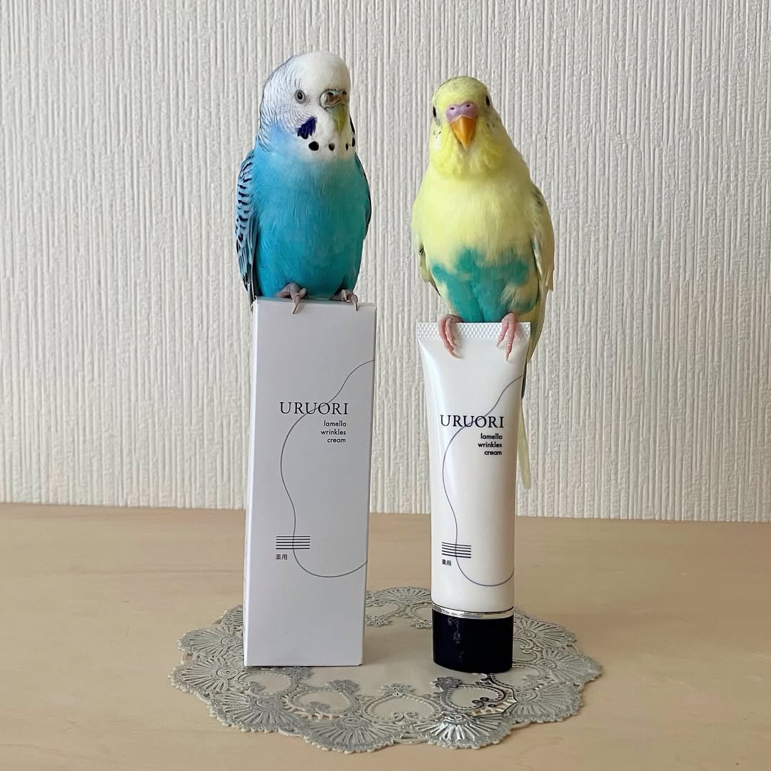 口コミ投稿：薬用『ラメラ美白リンクル 潤織(うるおり)』で、ママのお肌がキレイになるぞ！🐥😊🐥.『…