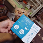 もう、3年もカイカイが続いている愛猫です。㈱スターネットさまから商品提供いただいてMRE Cat Pro 5g×30包入使ってみました。1回分ずつ、個包装になっています。計量いらずで使いや…のInstagram画像