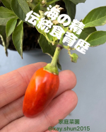 🔥食育を大切に🔥大ファン海の精様の＼伝統食育歴／カレンダー@uminosei_1979@uminoseishopもっと食育を‼️本当にこの思いがめちゃくちゃ強い私。。。二十節気に合わせ…のInstagram画像