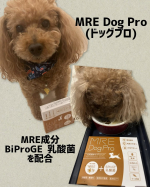 MRE Dog Pro(ドッグプロ)MRE成分とBiProGE®乳酸菌が配合された液体タイプのサプリメント！いつものフードにかけるだけ！かつお風味で喜んで食べてくれました♪着色料、香…のInstagram画像