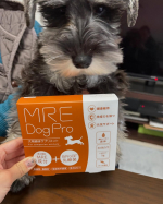 「MRE Dog Pro」は、ワンちゃんの健康をサポートする液体サプリメント！公式Instagramでは、製品情報や健康の豆知識をお届け♪さらに、愛犬と一緒に「MRE Dog Pro」を楽しむ投稿…のInstagram画像