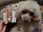 🐶【MRE Dog Pro】・健康維持・免疫力を保つ・元気サポート液体になっているのでとっても与えやすいです！乳酸菌も入っているので腸内環境にも最適です！かつお風味なので、魚好きな愛…のInstagram画像
