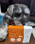 🐶✨ MRE Dog Pro は、ワンちゃんの健康をサポートする 液体サプリメント！ 🍼💖公式Instagramでは、製品情報や健康の豆知識 をお届け中🎶 さらに、愛犬と一緒に「MRE Dog P…のInstagram画像