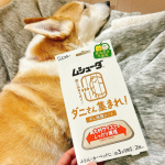 ミルクが居るからダニも気になる。。いつも一緒に寝てる布団にセット！殺虫成分不使用の大判捕護シート●ダニが気になる場所に置くだけで、簡単ダニ対策！●殺虫成分不使用。食品成分でダニを誘引します。…のInstagram画像