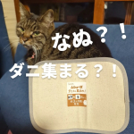 エステー様より ムシューダ ダニさん集まれ🙋 ダニ捕獲シートをいただきました😏 ダニが気になる場所に置くだけで 簡単ダニ対策ができるシートです👏猫ちゃんがいるのでとっても気になっていました🥺…のInstagram画像