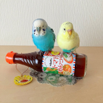 『寺岡家のトマトめんつゆ』で、ママのハンバーグがもっと美味しくなるぞ！🐥🐥😋.『寺岡家のトマめんつゆ』は”トマトに含まれるグルタミン酸”と”かつお節に含まれるイノシン酸”のうま味を味わえる、新しい…のInstagram画像