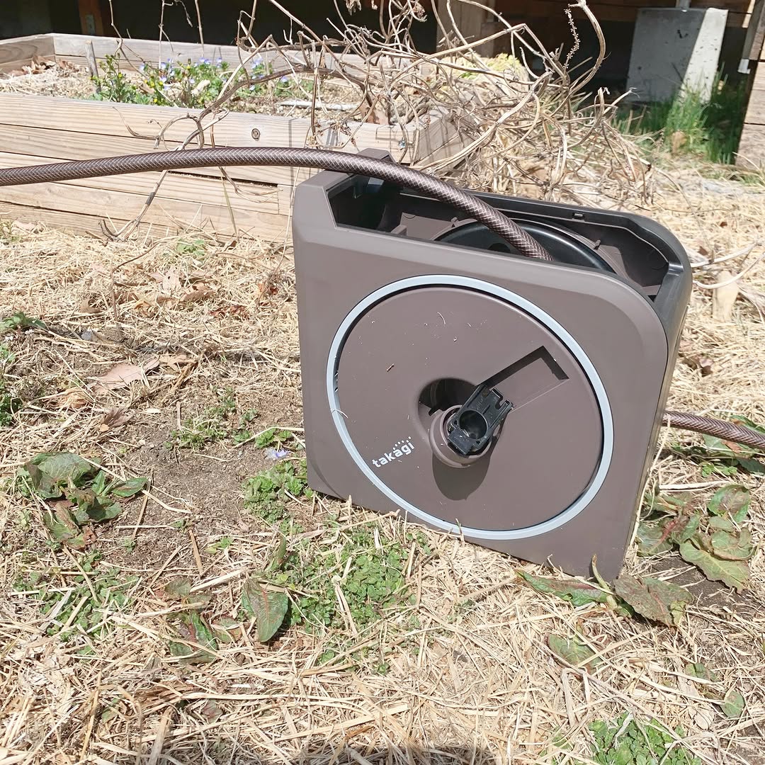口コミ投稿：だんだん春めいてきてお庭にも新しい緑が出てきました🌱さあこれからは、水やり、雑草…