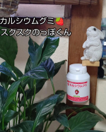 成長期のこどもに正しい栄養を🌱「うちの子、背が伸びないなぁ」「成長が遅いのかな？」そんな時に手にとってほしい。カルシウムグミV+🍓外側はカリッとした、おいしいグミだから粉のプロテイン…のInstagram画像