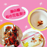 海の精　桜の花塩漬け　 お花見で桜を見るだけじゃなくって、桜の味も香りも楽しみましょう。  奈良吉野の八重桜を「海の精」で漬けた商品です素敵です～🌸春季（２月中旬～４月頃）…のInstagram画像