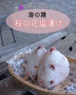 今の季節にピッタリなの見つけたよー♪かなり使えるオススメなこちら♥️*―――――――――――*・海の精 桜の花塩漬け・*―――――――――――*コレ！本当におすすめ🌸かなりテンション…のInstagram画像