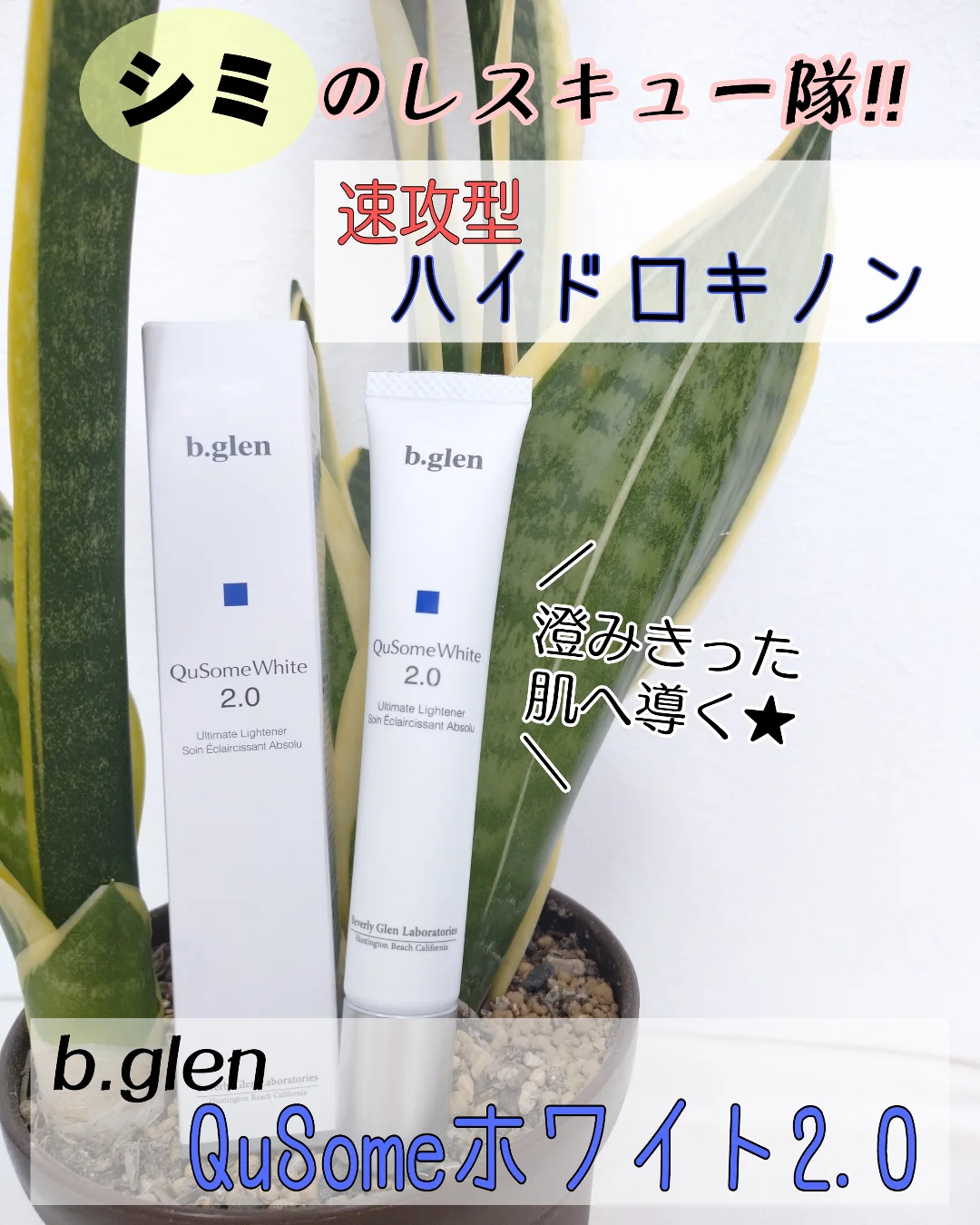 口コミ投稿：今あるシミがさぁ。中々消えないのですよ。しかもこれからの紫外線が強くなる季節だ…