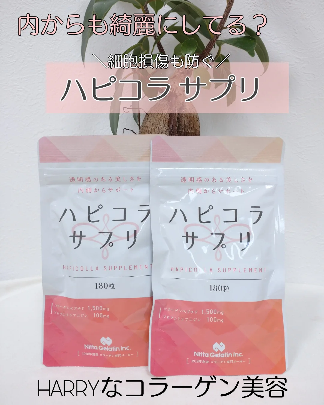 口コミ投稿：最近暖かくなってきたからだいぶマシだけど…冬場の乾燥…関節痛…の時期はお世話になっ…