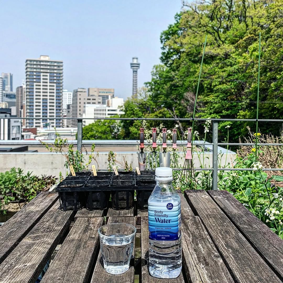 口コミ投稿：先日の屋上。ガーデニングをしていました😊．いろいろな野菜の花が咲いてお花畑のよう…