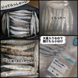 「美味しいししゃも、サクサク♡」の画像（3枚目）