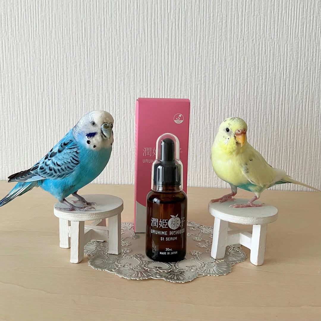 口コミ投稿：『潤姫桃子S1美容液』で、ママのお肌がキレイになるぞ！🐥😊🐥.『潤姫桃子S1美容液』は…
