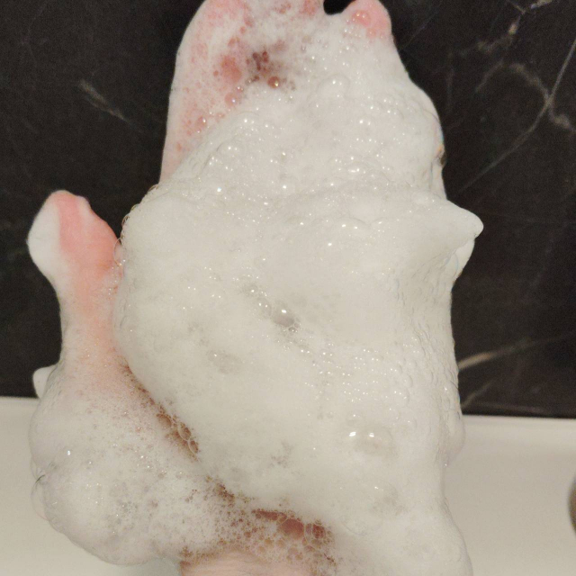 口コミ：＼頭皮トラブルにお悩みの方／cinque オーガニックシャンプー＆ニュートラルトリートメントの画像（4枚目）