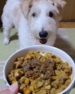 Happy dinner time🎶完全無添加•保存料不使用のフレッシュフードしあわせのキューブだよ。やっぱエゾシカ肉の所をガブッといくねー😁脂質が少ないってのが今のぺーにはぴったりご褒美。15gの…のInstagram画像