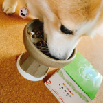 しあわせのキューブ！冷凍で1キューブ15gミルクちゃんのフードにトッピングで🐶添加物や保存料など使用してないので安心😊ミルクちゃん美味しそうに食べたよ！6/22までMakuakeで数量限定…のInstagram画像
