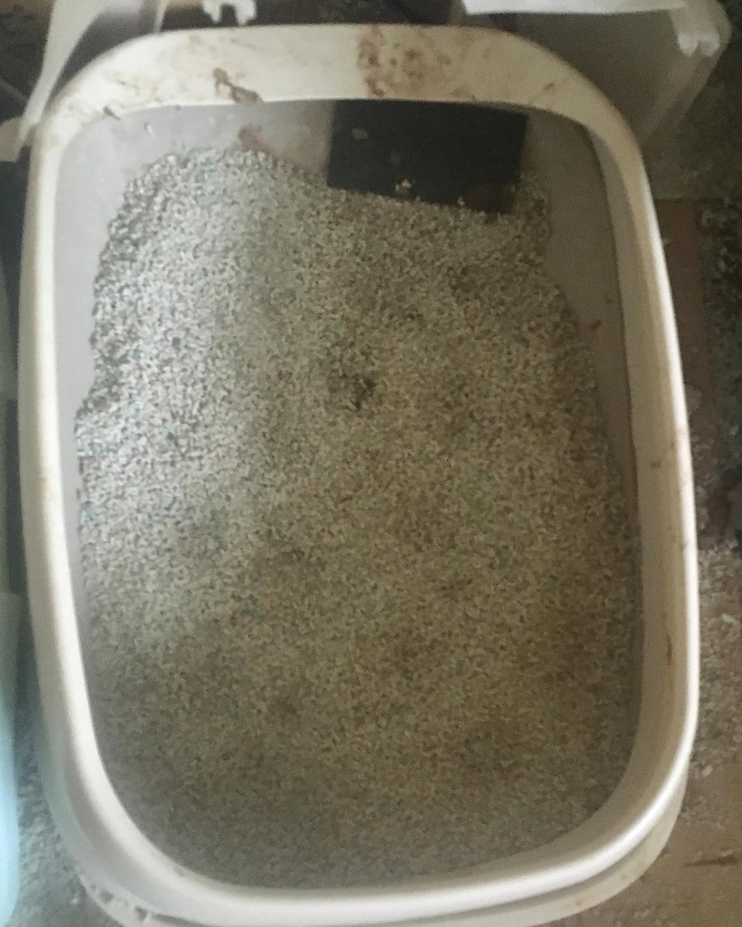 口コミ投稿:#PR #エステー #脱臭炭 #脱臭剤 #ゴミ箱 #ニオイ #炭 #monipla #st_fan生ごみは週に2…