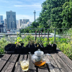先日の屋上。ガーデニングをしていました😊．久しぶりの屋上、春野菜から夏野菜の植え替えが遅れていて少しドキドキしています。早めに植えたミニトマトやパプリカが元気に育ってくれています。．飲み…のInstagram画像