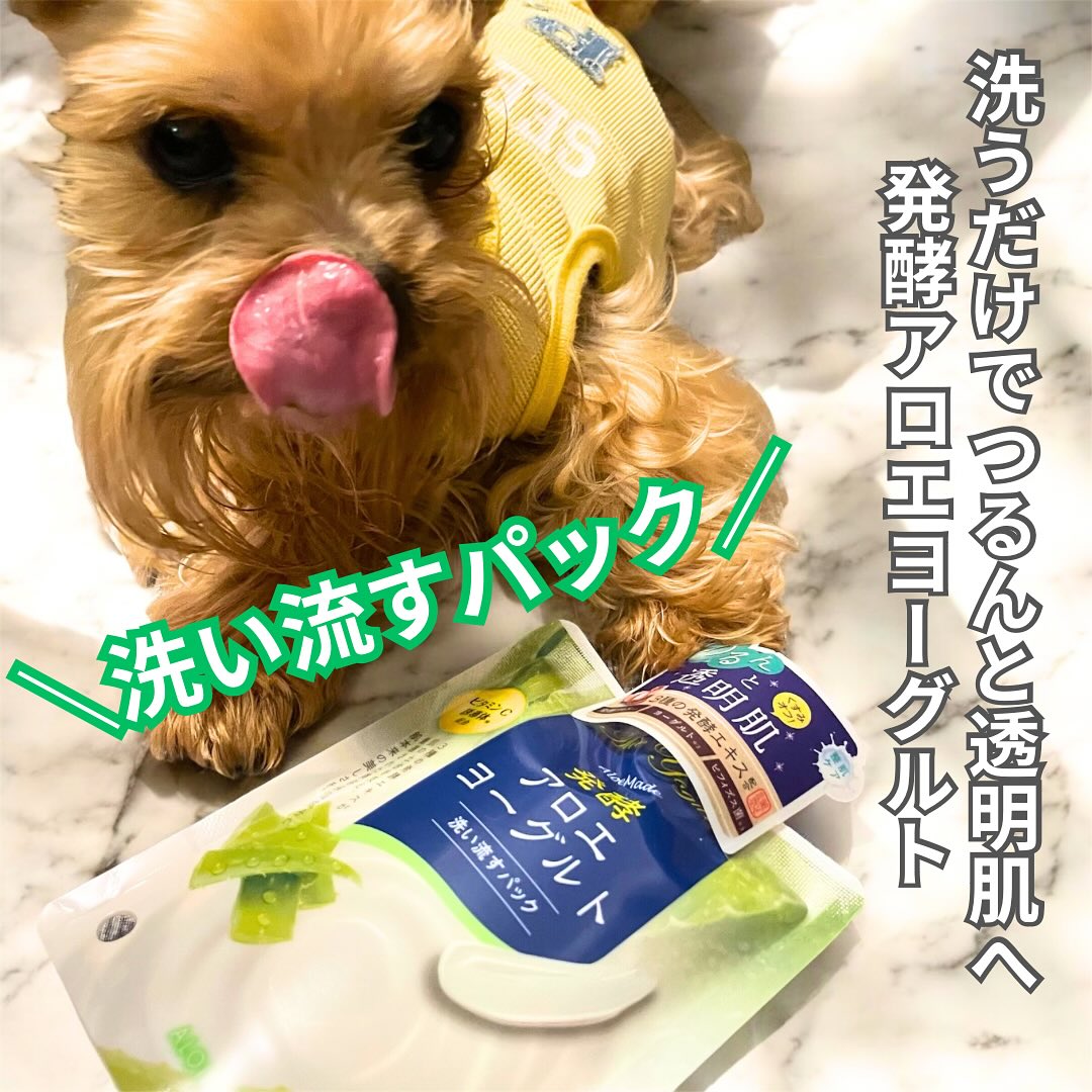 口コミ投稿：アロエメイド 発酵クリアパックAY 170g⁡発酵アロエヨーグルト～洗うだけでつるんと透…