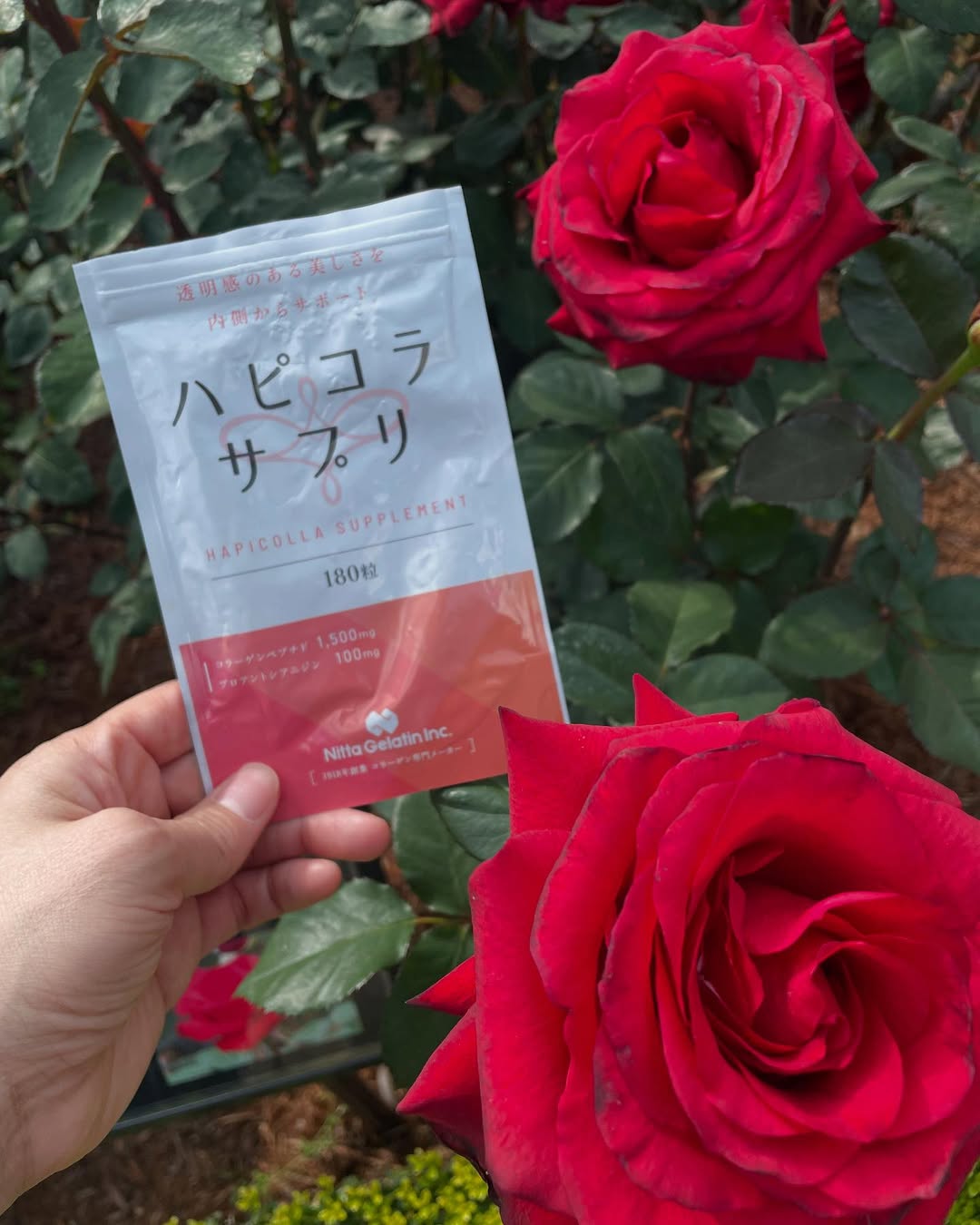 口コミ投稿：ハピコラサプリでコラーゲンチャージ小さな小粒のタブレットで飲みやすい。パウダー…