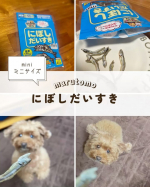 『だいすきシリーズ』の中のにぼし大好き💓わんこだけど、にぼし大好き🐾ミニサイズだから、あげやすくて良いな⭐️もう少し小さなタイプもあると持ち運びやすいから、これもminiだけどもう少し…のInstagram画像