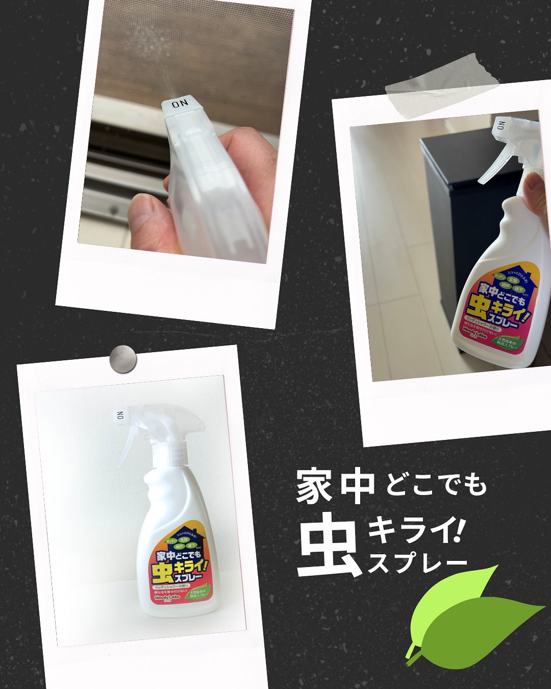 口コミ投稿：𓇼   𓆛  𓆜  𓇼𓆝虫が苦手すぎる！！で！早速『家中どこでも虫キライスプレー』を使って…