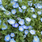 口コミ/ブログ記事の画像