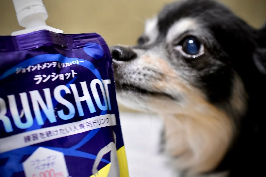 口コミ投稿：1時間運動してきました。運動後の冷やしたランショット🏃‍♀️シトラス味で美味しい😋#PR…