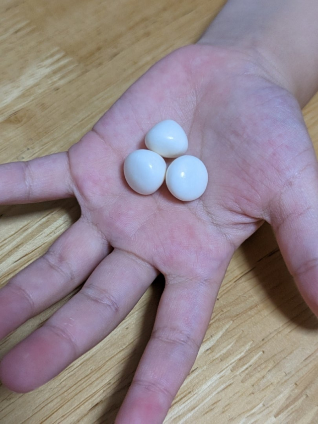 口コミ：カルシウムグミ【ヨーグルト味】の画像（6枚目）