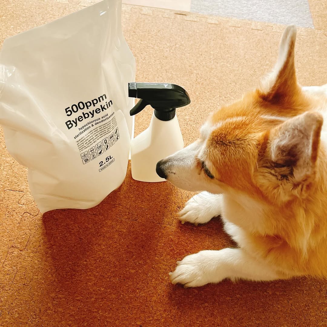 口コミ投稿：ペットの気になるニオイも強力消臭次亜塩素酸水「バイバイ菌原液や薄めて用途色々使…