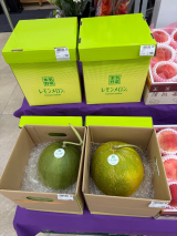 口コミ/ブログ記事の画像