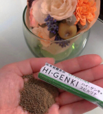 💚💜🩷手軽な玄米食として生まれた玄米・胚芽・表皮を麹菌によって発酵させたこちらの玄米酵素💁‍♀️玄米はなかなか食べられない。。あまり好きじゃない、、という方にもオススメ✨夏休み、外食も増…のInstagram画像