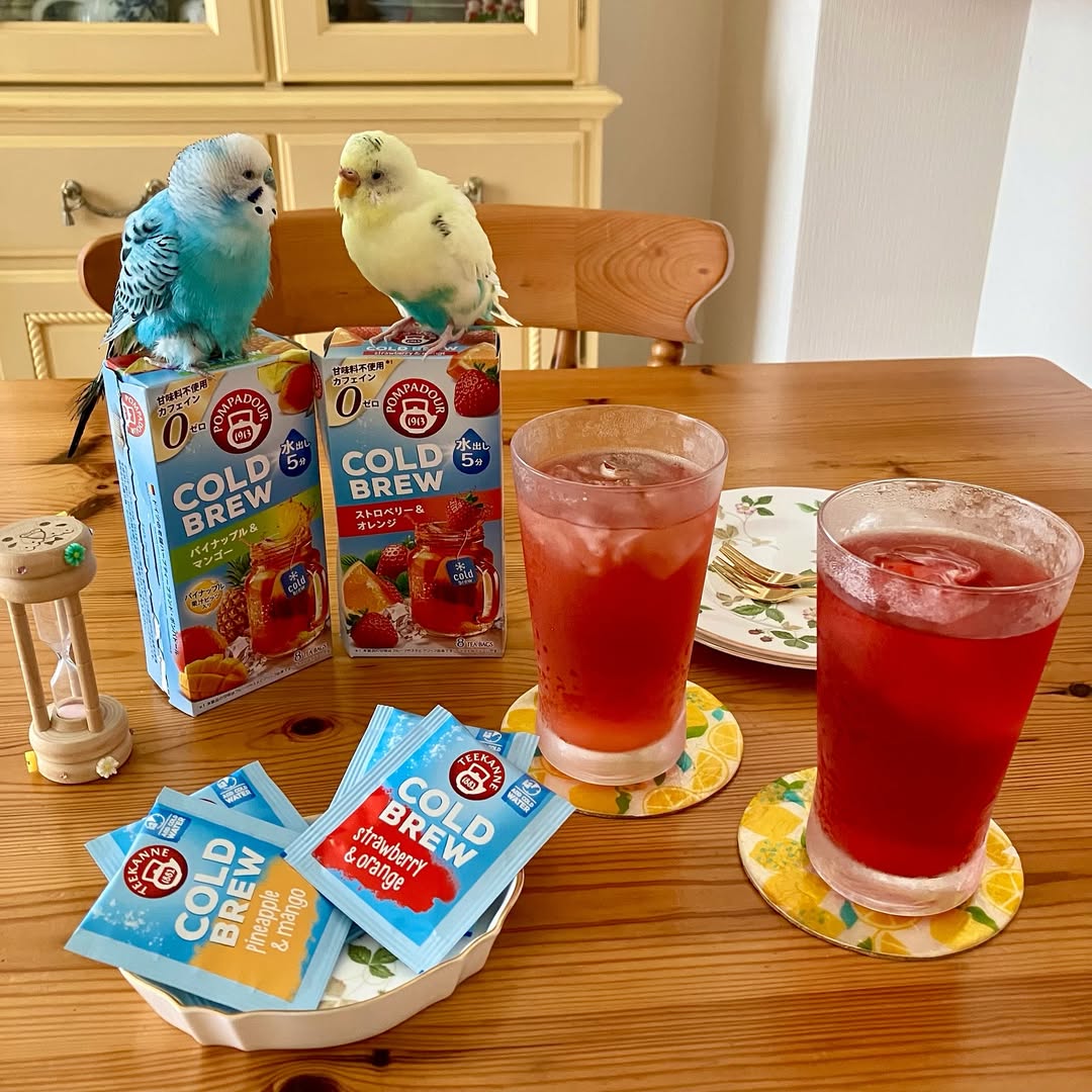 口コミ投稿：ポンパドール の『コールドブリュー』で、美味しく水分補給しよう！🐥😊🐥. 『コールド…
