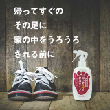口コミ/ブログ記事の画像