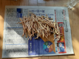 口コミ/ブログ記事の画像