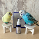 『プラスピュアVC25』で、ママのお肌がキレイになるぞ！🐥😊🐥.『プラスピュアVC25』は、ピュアビタミンCを25％高濃度で配合した美容液です。くすみ、シワが気になる目元や口元に少量付けると、毛…のInstagram画像