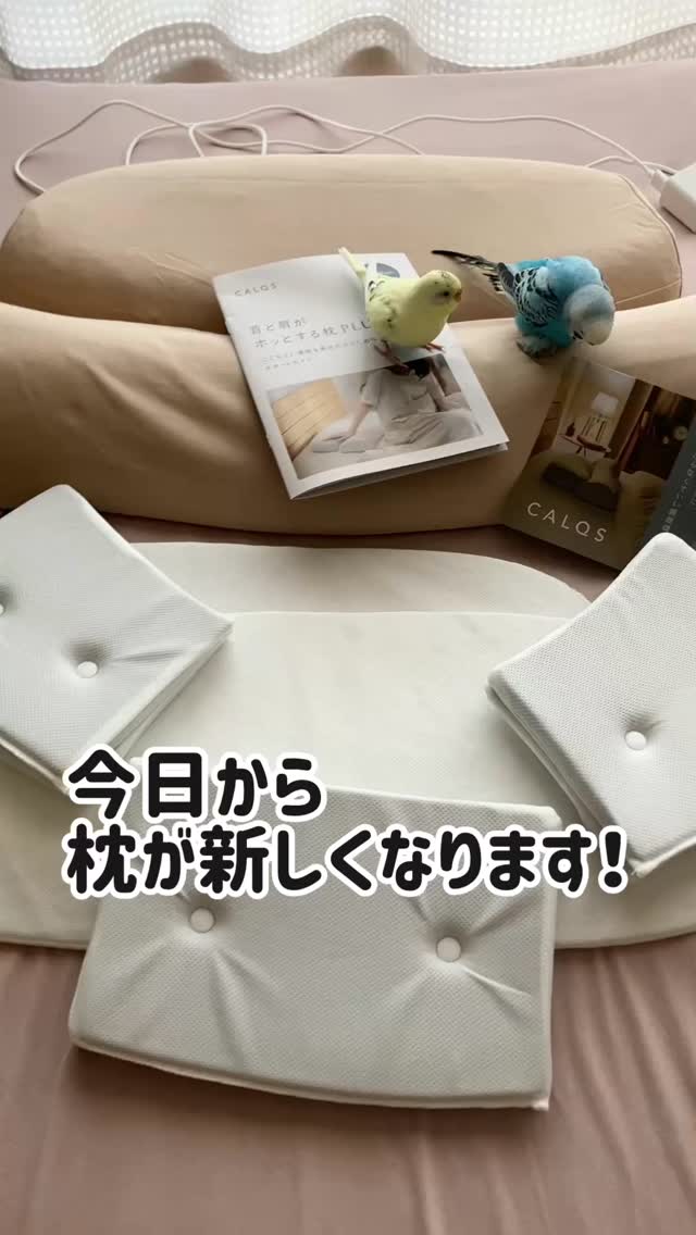 口コミ投稿：『首と肩がホッとする枕PLUS』で、ママがリラックスして寝られるよ！🐥😴🐥.『首と肩が…