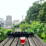 先日の屋上。ガーデニングをしていました😊．早起きできた日は秋冬野菜の準備をしています。きゅうりやUFOズッキーニを植えていた場所は、ルッコラやベビーレタス、ケール、小松菜、チンゲンサイ、イン…のInstagram画像